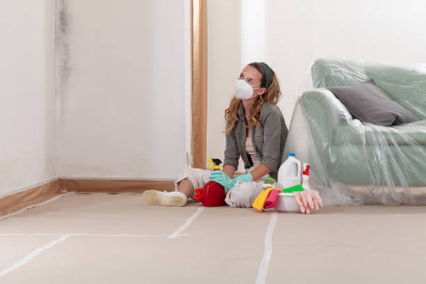 Reliable Mold Removal contractor in Hampton, GA by WQB Mold Removal